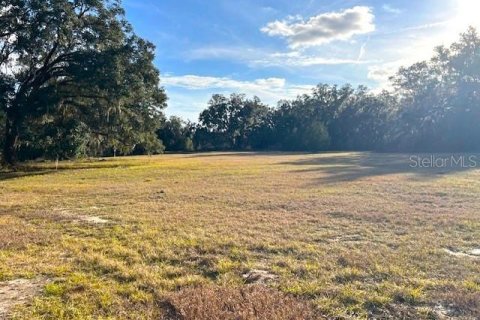 Land in Newberry, Florida № 1812819 - photo 5