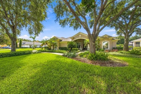 Villa ou maison à Fish Hawk, Floride 4 chambres, 454.76 m2 № 2409938