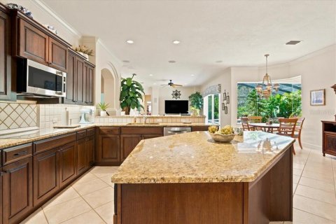 Villa ou maison à vendre à Fish Hawk, Floride: 4 chambres, 454.76 m2 № 2409938 - photo 14