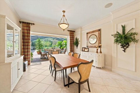 Villa ou maison à vendre à Fish Hawk, Floride: 4 chambres, 454.76 m2 № 2409938 - photo 10