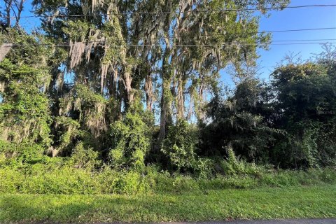 Terreno en DeBary, Florida № 2226984