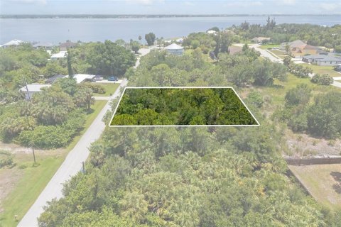 Terrain à vendre à Punta Gorda, Floride № 2206667 - photo 2