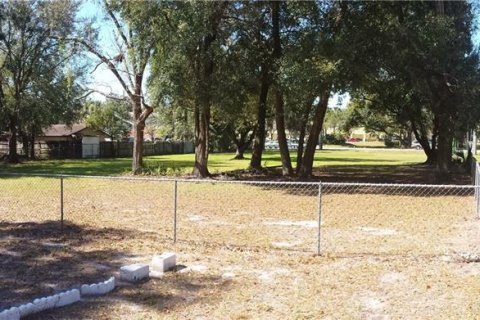 Land in Ocoee, Florida № 296654 - photo 3