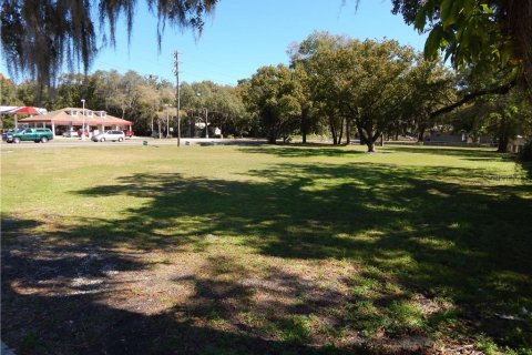 Land in Ocoee, Florida № 296654 - photo 7