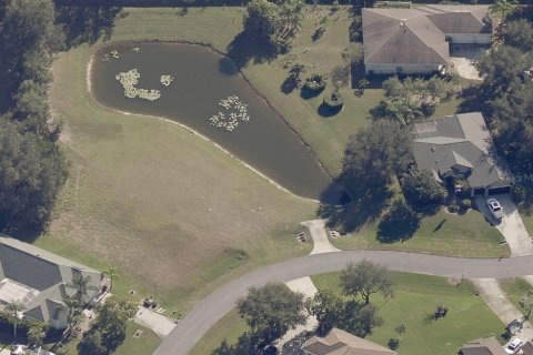 Land in Lutz, Florida № 2105655 - photo 5