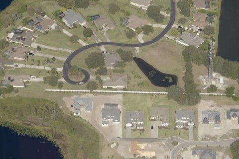Land in Lutz, Florida № 2105655 - photo 6
