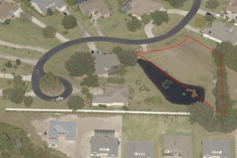 Terrain à Lutz, Floride № 2105655