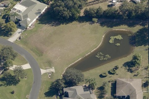 Land in Lutz, Florida № 2105655 - photo 2