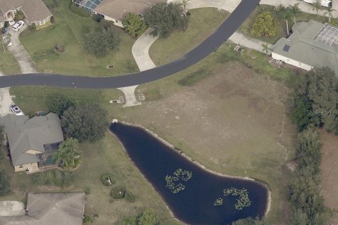 Land in Lutz, Florida № 2105655 - photo 4