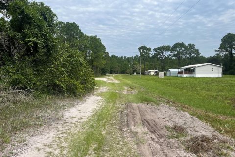 Land in Georgetown, Florida № 2165093 - photo 2