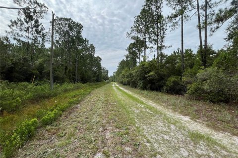 Land in Georgetown, Florida № 2165093 - photo 9