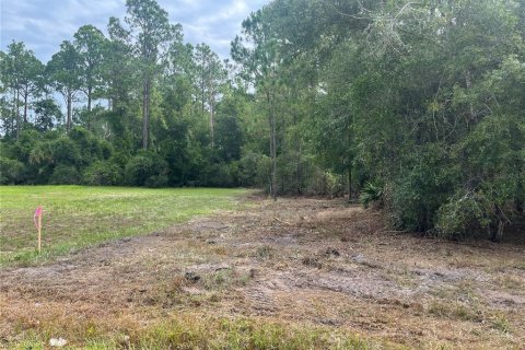 Land in Georgetown, Florida № 2165093 - photo 4