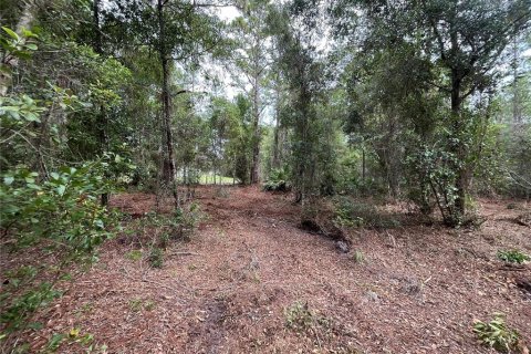 Land in Georgetown, Florida № 2165093