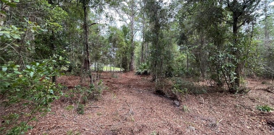 Land in Georgetown, Florida № 2165093