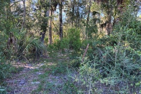 Terreno en Cedar Key, Florida № 2424163