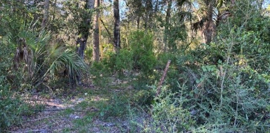 Terreno en Cedar Key, Florida № 2424163