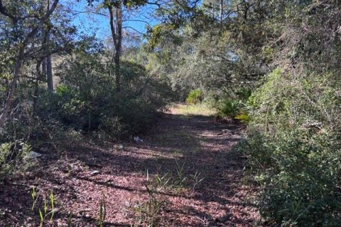 Terreno en venta en Cedar Key, Florida № 2424163 - foto 4