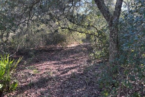 Terreno en venta en Cedar Key, Florida № 2424163 - foto 5
