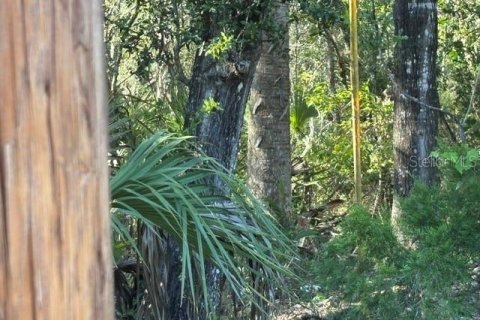 Terreno en venta en Cedar Key, Florida № 2424163 - foto 6