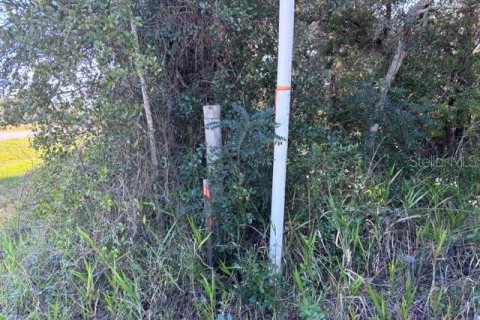 Terreno en venta en Cedar Key, Florida № 2424163 - foto 3