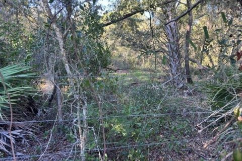 Terreno en venta en Cedar Key, Florida № 2424163 - foto 7