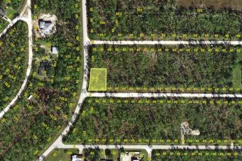 Land in Punta Gorda, Florida № 2198215 - photo 2