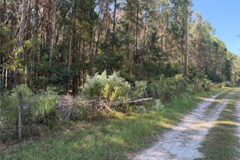 Land in High Springs, Florida № 2118205