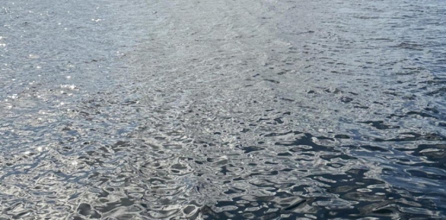 Дом в Кресент-Сити, Флорида 3 спальни, 111.48м2 № 808804