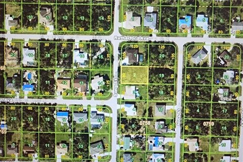 Land in Port Charlotte, Florida № 2158716 - photo 2