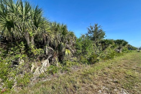 Land in Port Charlotte, Florida № 2165311
