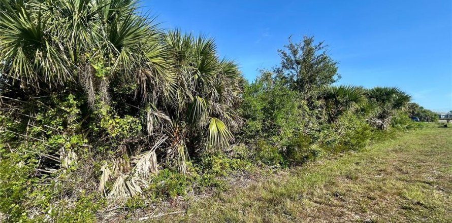 Land in Port Charlotte, Florida № 2165311