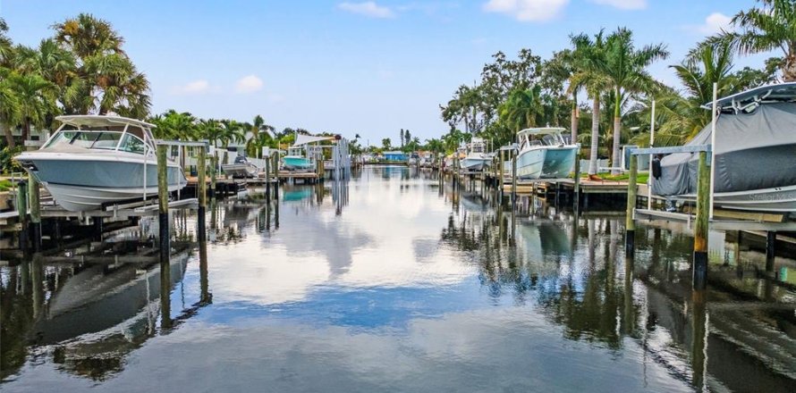 House in Saint Petersburg, Florida 3 bedrooms, 252.32 sq.m. № 1904669