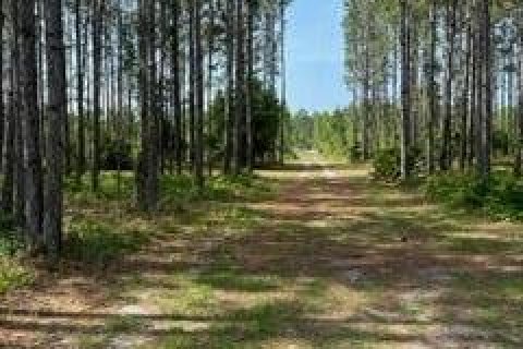 Land in Perry, Florida № 869607 - photo 1
