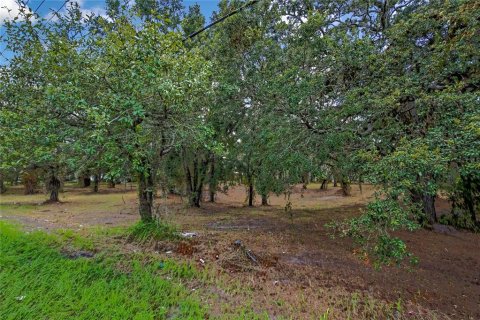 Land in Spring Hill, Florida № 1848633 - photo 4