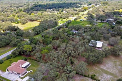 Land in Spring Hill, Florida № 1848633 - photo 8
