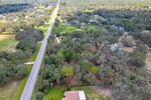 Land in Spring Hill, Florida № 1848633 - photo 7