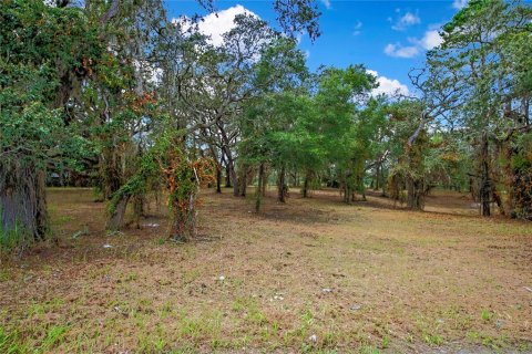 Land in Spring Hill, Florida № 1848633 - photo 1