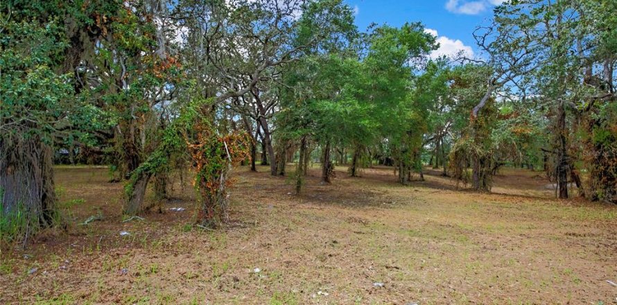 Land in Spring Hill, Florida № 1848633
