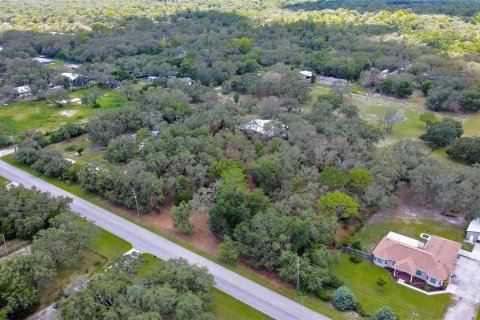 Land in Spring Hill, Florida № 1848633 - photo 6