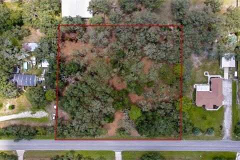 Land in Spring Hill, Florida № 1848633 - photo 14