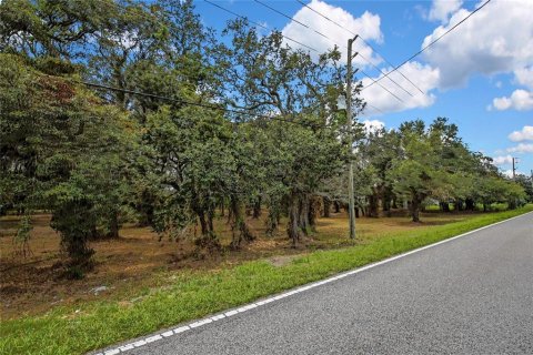 Land in Spring Hill, Florida № 1848633 - photo 2