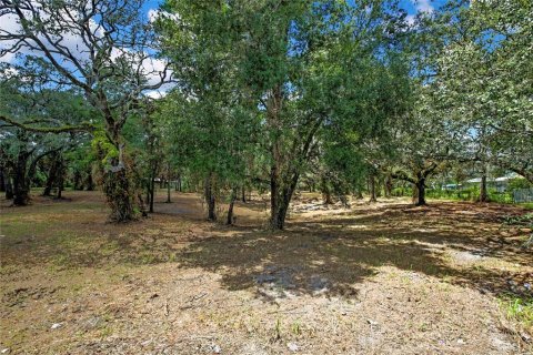 Land in Spring Hill, Florida № 1848633 - photo 3