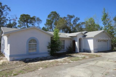 House in Weeki Wachee, Florida 4 bedrooms, 207.64 sq.m. № 1518795 - photo 1