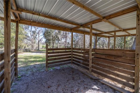 House in Ocala, Florida 4 bedrooms, 285.21 sq.m. № 1539490 - photo 7