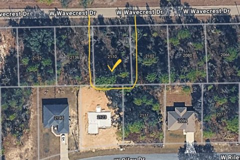 Land in Citrus Springs, Florida № 2160385