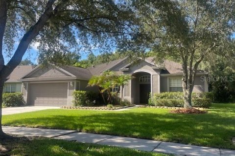 Villa ou maison à Tampa, Floride 4 chambres, 199.37 m2 № 2289927