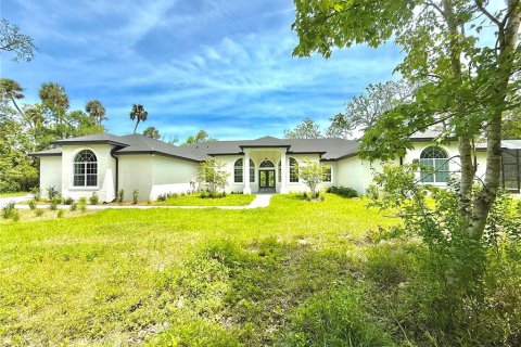 House in New Smyrna Beach, Florida 6 bedrooms, 449.55 sq.m. № 1648133 - photo 1