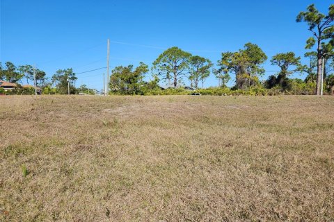 Land in Rotonda, Florida № 2160782 - photo 7