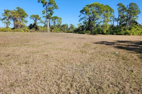 Land in Rotonda, Florida № 2160782 - photo 5