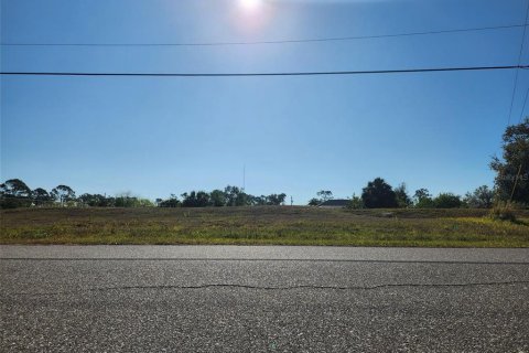 Land in Rotonda, Florida № 2160782 - photo 4